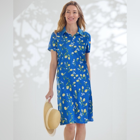 Appleseeds Shirt Dress Womens Large Linen Blend Blue Lemons Short Sleeve Pockets - Picture 1 of 9